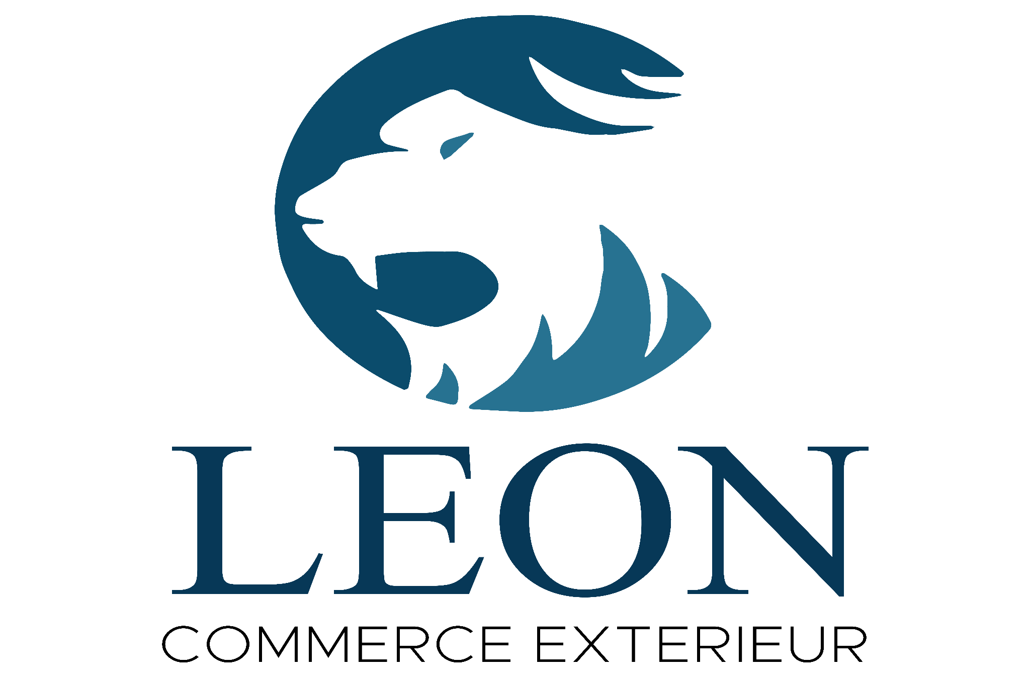 Leon Commerce Exterieur